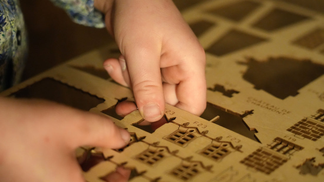 Château de Chaumont Wooden 3D Puzzle Model